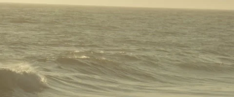 Roll Tide Stock Footage 51201719