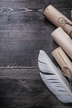 Rolled ancient documents feather on wooden board top view. Fotos de archivo