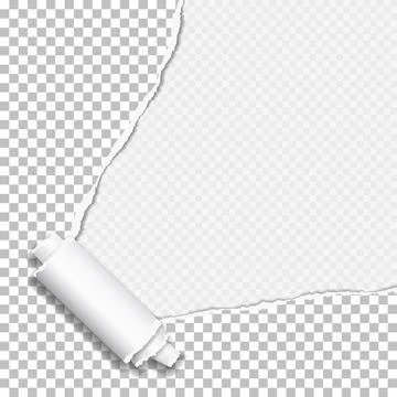 Rolled and ripped white notebook paper sheet is on squared background for text Stock Illustration