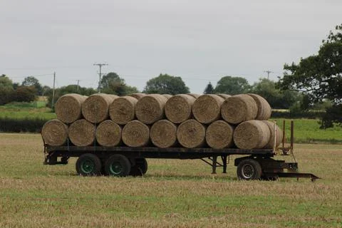 Rolled bales of straw on a flatbed Stock Photos