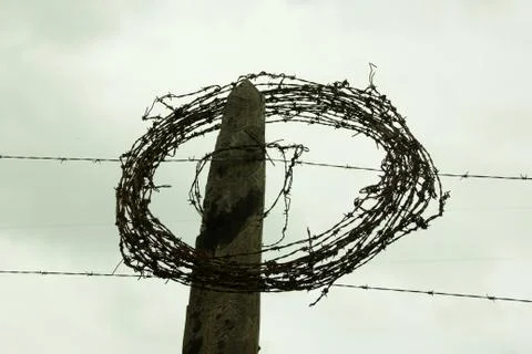 Rolled barbed wire Stock Photos