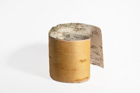 Rolled birch bark Stock Photos