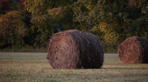 Rolled grass on a field as the sun sets. Stock Footage 62438562