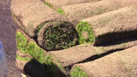 The rolled grass lawn is ready for laying by builders Video stock 281913552
