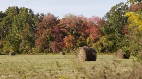 Rolled grass or hay bales in the countryside on a hot day. Stock Footage 62438564