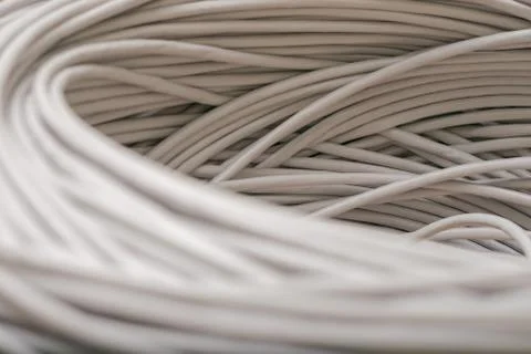 A rolled gray cable is a close up. A bunch of utp wires intertwined with each 库存照片