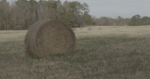 Rolled Up Hay Bale Stock Footage 124187759