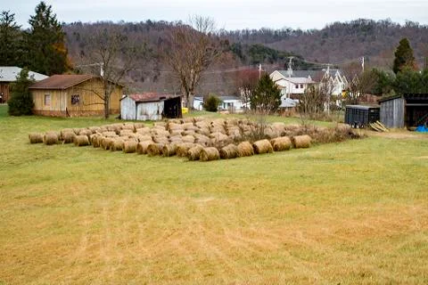 Rolled hay Stock Photos