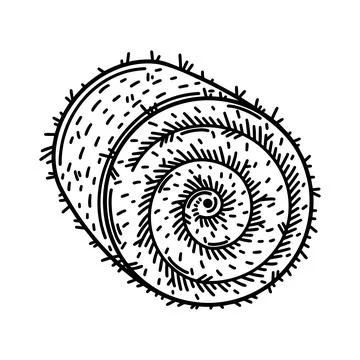 Rolled hay vector icon. Hand drawn illustration isolated on white background 스톡 일러스트