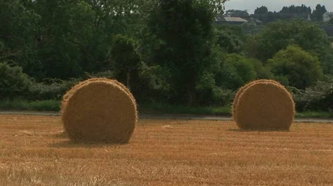 Rolled haystacks Stock Footage 20487931