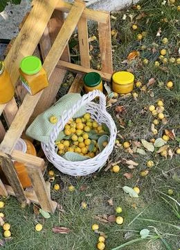 Rolled jars of jam under tree with apples. Harvest in garden. Small yellow Stock Photos
