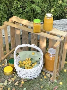 Rolled jars of jam under tree with apples. Harvest in garden. Small yellow Stock Photos