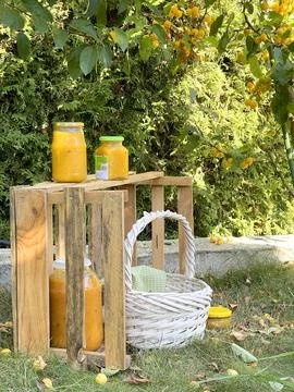 Rolled jars of jam under tree with apples. Harvest in garden. Small yellow Stock Photos