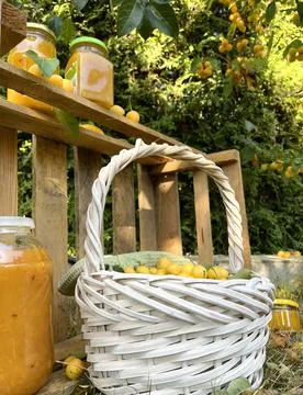 Rolled jars with jam under tree with apples. Harvest in garden. Small yellow Stock Photos