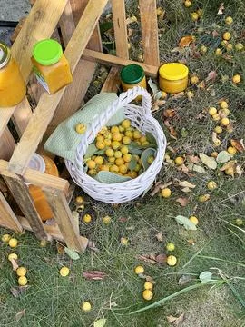 Rolled jars of jam under tree with apples. Harvest in garden. Small yellow Stock Photos
