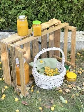 Rolled jars of jam under tree with apples. Harvest in garden. Small yellow Stock Photos