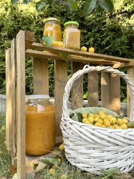 Rolled jars with jam under tree with apples. Harvest in garden. Small yellow Stock Photos
