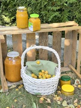 Rolled jars of jam under tree with apples. Harvest in garden. Small yellow Stock Photos