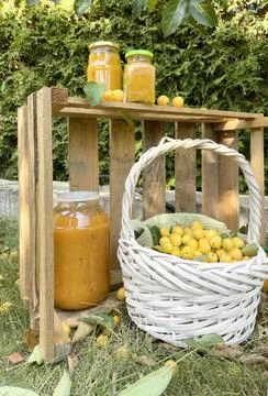 Rolled jars with jam under tree with apples. Harvest in garden. Small yellow Photos