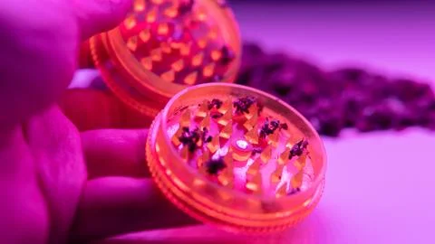 Rolled joint with marijuana in close-up. Stock-Fotos