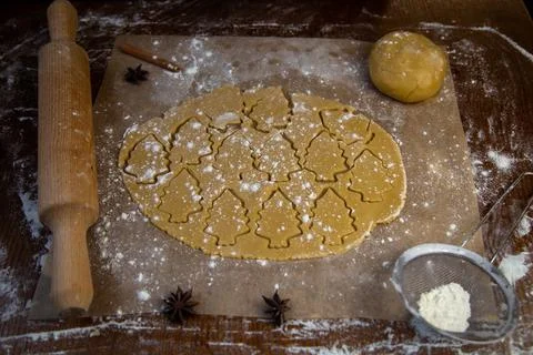 In the rolled out layer of dough, many Christmas trees are cut out, which are Stock Photos