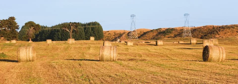 Rolled up Stock Photos
