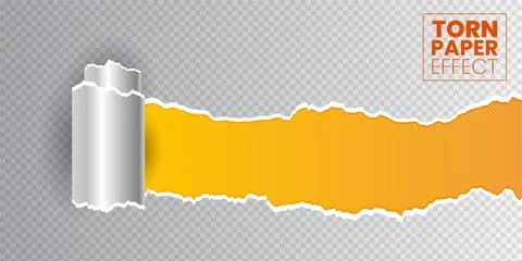 Rolled ripped torn paper sheet on transparent background vector Stock Illustration