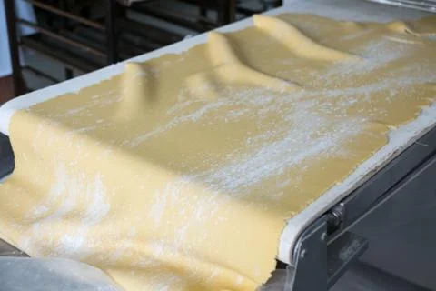 Rolled Sheet of Pie Crust Dough Stock-Fotos