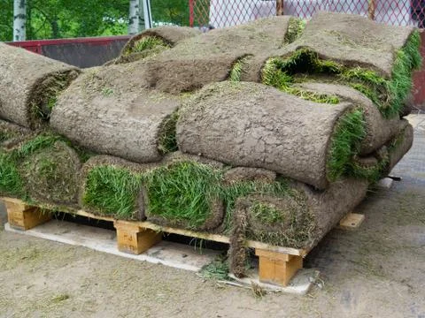 Rolled sod Stock Photos