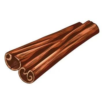 Rolled sticks of cinnamon sketch vector icon, hand drawn aromatic spice, dry Stock Illustration