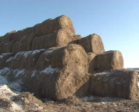 Rolled straw cones Stock Footage 10907753