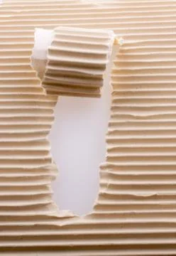 Rolled up torn paper Stock Photos