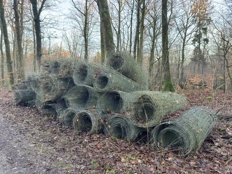 Rolled Wire Fencing in Forest Setting Stock Photos