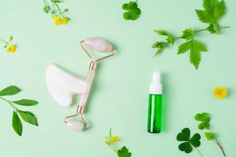 Roller and gua sha massage scraper with wild plants on green background Stock Photos
