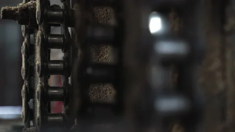 Roller Chains Transmitting Mechanical Power To Lumber Processing Machine Stock Footage 169582167