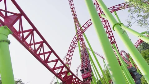 Roller coaster in the amusement park Stock Footage 265229615