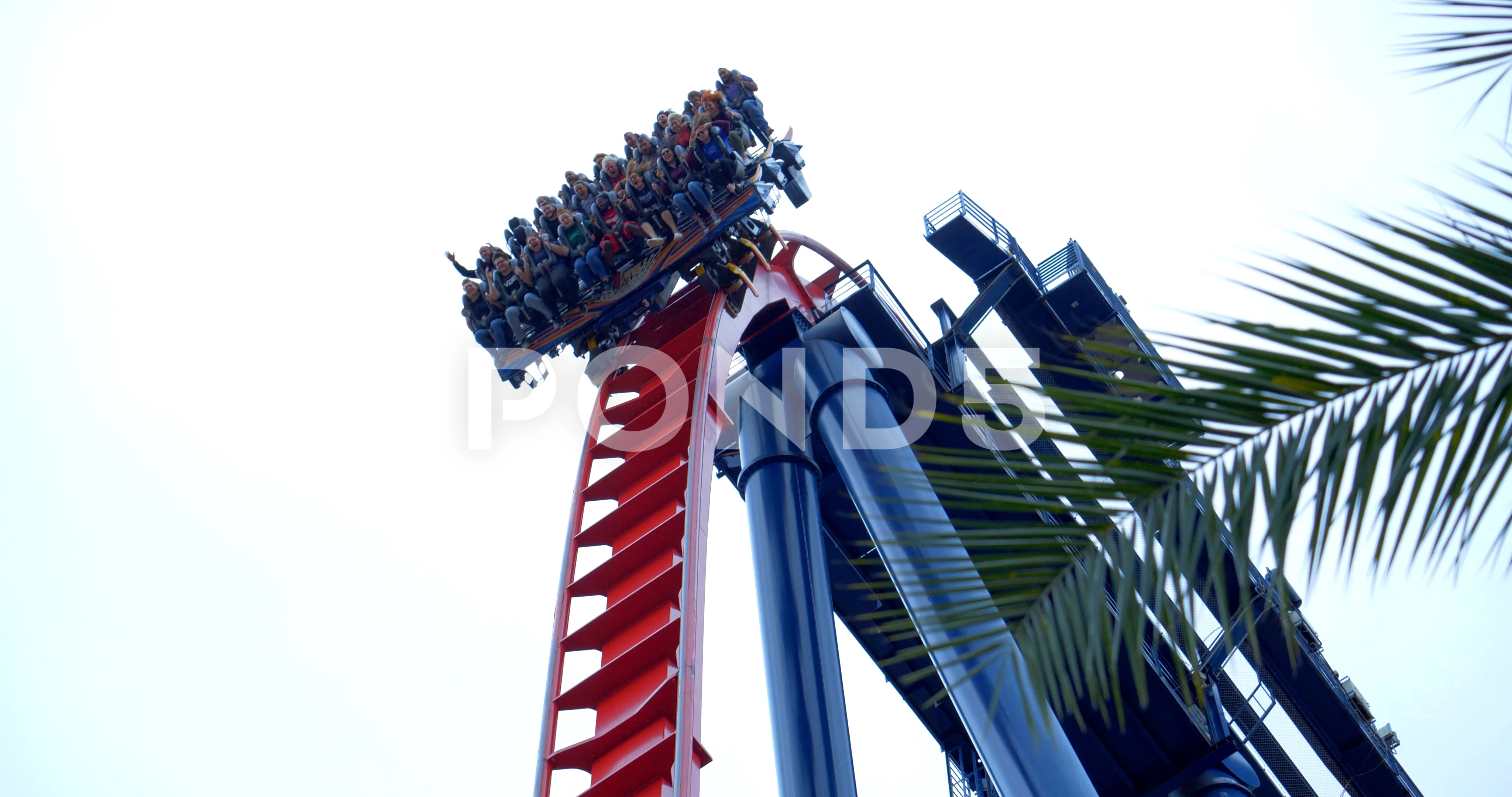 Roller Coaster Drop in Slow Motion Straight Down 90 Degrees Close Up