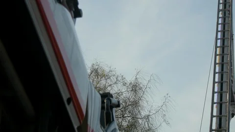 Roller Coaster 스톡 동영상 88456600