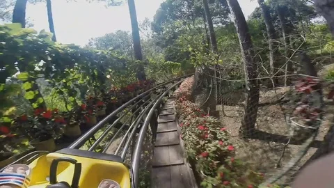 Roller coaster in the jungle Stock Footage 80535125