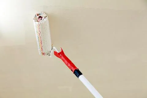 Roller paintbrush Foto stock