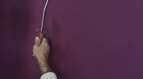 Roller painter in action on purple wall Stock Footage 68800463