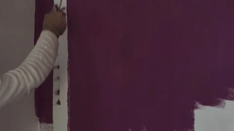 Roller painter in action on purple wall Stock Footage 68800637