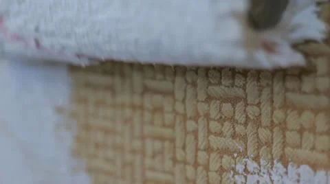 Roller painting wall Stock Footage 12161692
