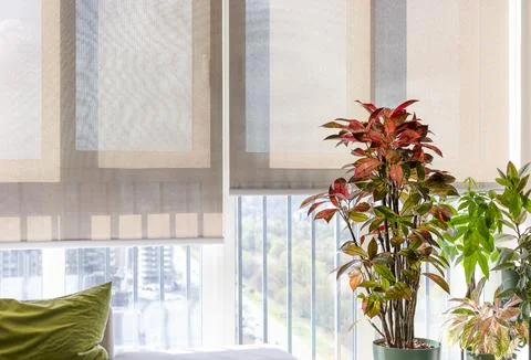 Roller shades with sunscreen material Stock Photos