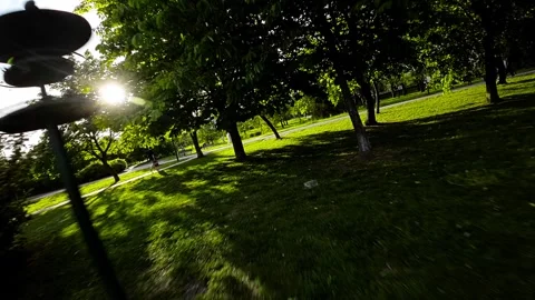 Rollerblading Through a Beautiful Park Stock Footage 278483194