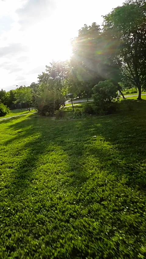 Rollerblading Through a Beautiful Park Stock Footage 278532989