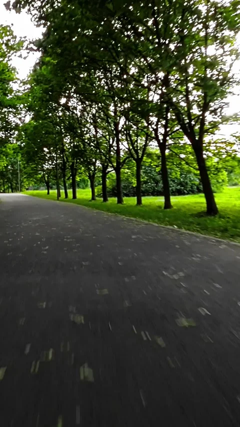 Rollerblading Through a Beautiful Park Stock Footage 278749824