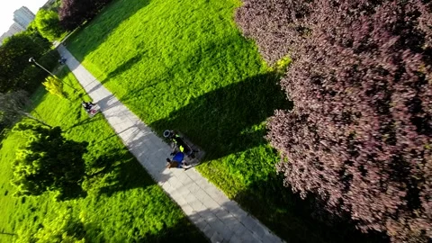 Rollerblading Through a Beautiful Park Stock Footage 282635671