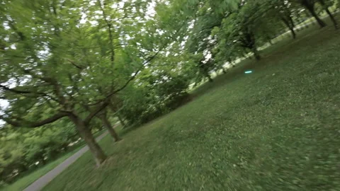 Rollerblading Through a Park Stock Footage 277234007