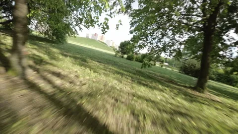 Rollerblading Through a Picturesque Park Stock Footage 276847899